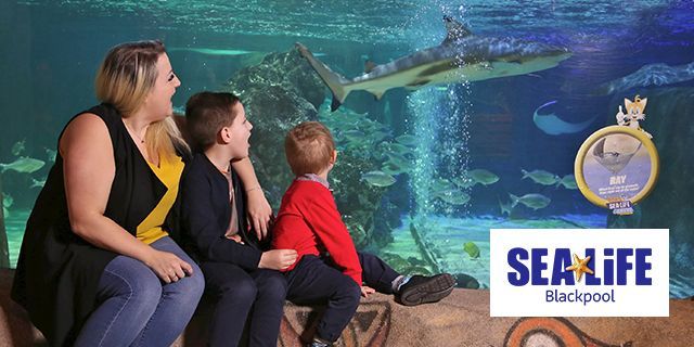 Sea Life Blackpool Discounts