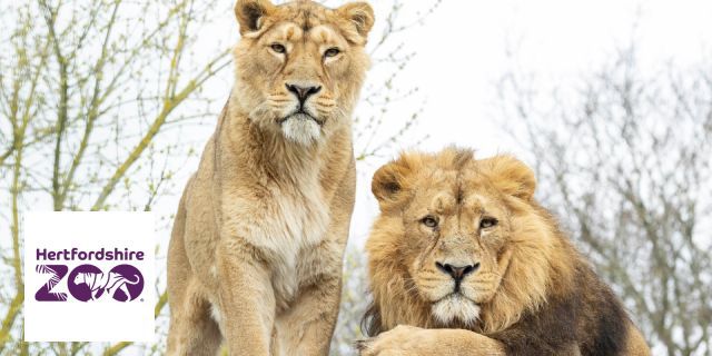 Hertfordshire Zoo Discounts