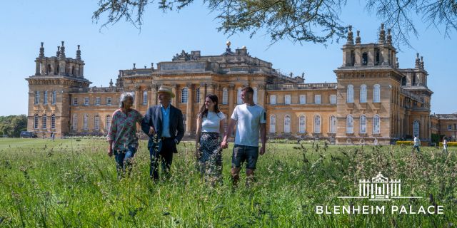 Blenheim Palace Blue Light Card discount image