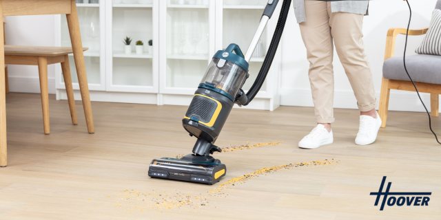 Hoover discount image